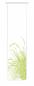Preview: Flächenvorhang Reed24 Apfel L blanco  Schiebevorhang, Schiebegardine, modern, 60 cm breit, 2,65 m hoch, 3 m hoch